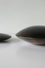discus gepatineerd 